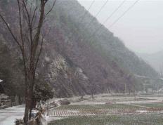 岁月痕，思念长
